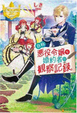 雾中岛屿